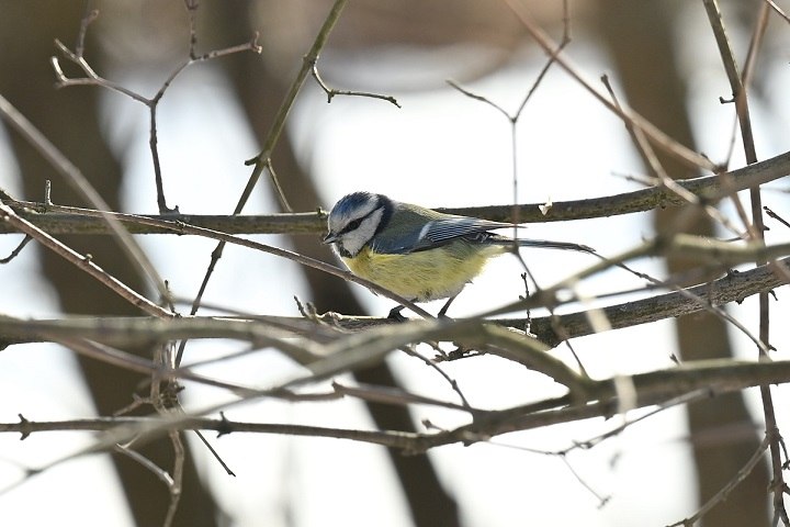Мокрый снег пройдет в Якутии 8 апреля