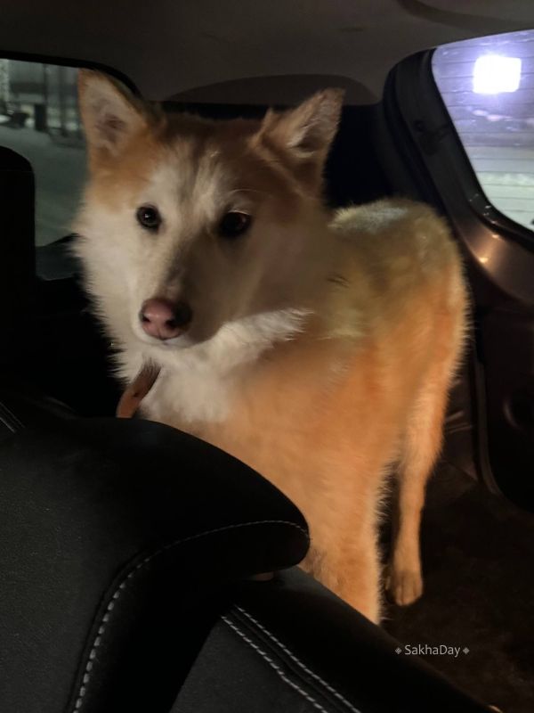 ������������! �������� ����� ������