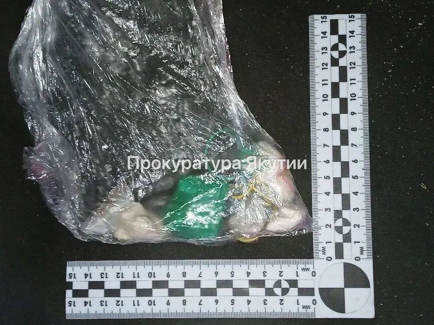 В Вилюйском районе в суд направлено уголовное дело о незаконном обороте наркотических средств В Вилюйском районе в суд направлено уголовное дело о незаконном обороте наркотических средств