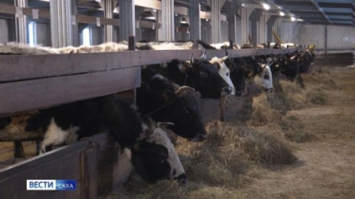 � ������ ����������� ������������ ���������� �������� �� ������������