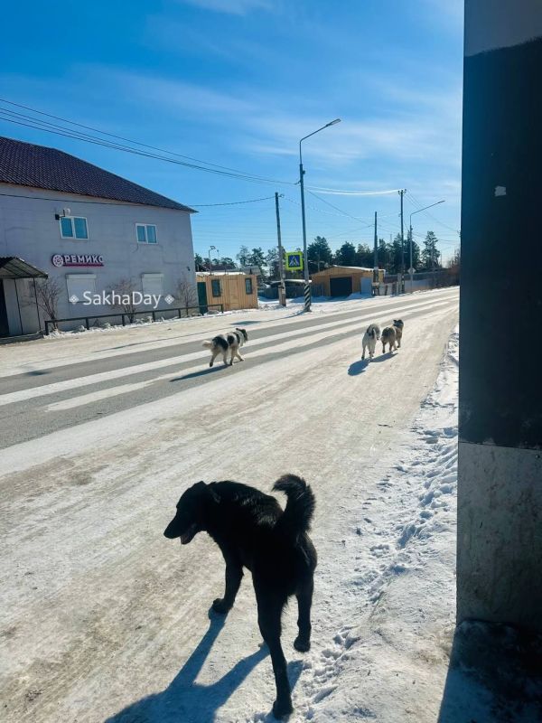 � ������� ������ ��� ���� ������� �� ����������� ����