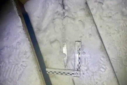 ��������� �� ������. � ������� ������� �������� 30-������ �������, ������� � ������ �������� ���� ����� �������� ����� ������ ����