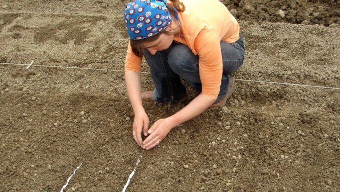 ������ �����������: ��� �� ��������� ������