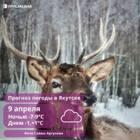 ��������� ����� � ������: �� ������ � �� ������ ����������� ��������