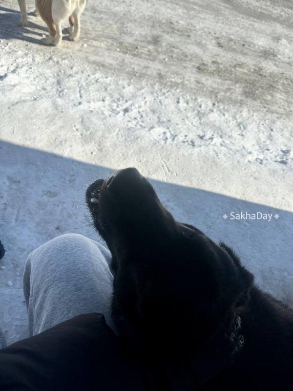 � ������� ������ ��� ���� ������� �� ����������� ����