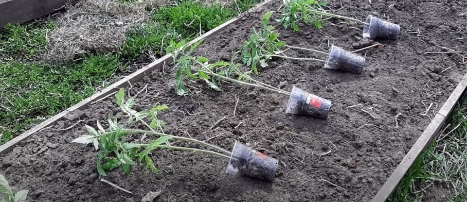 ��� ��������� ���������� ���������� ������� ������� � ������� ������ � ��������� ������