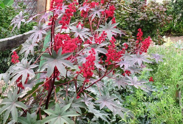 ���������: ��� ��������� ������������ �������� � ����� ����