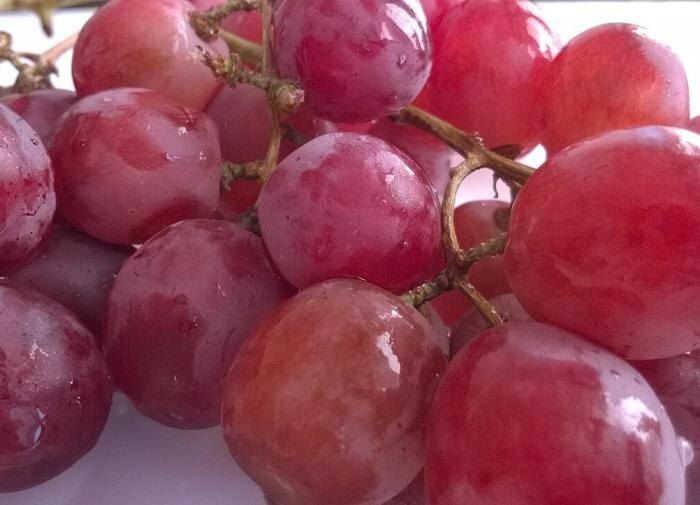 ��� ������� ��������� ������� ��������� �����: ������������ �����������