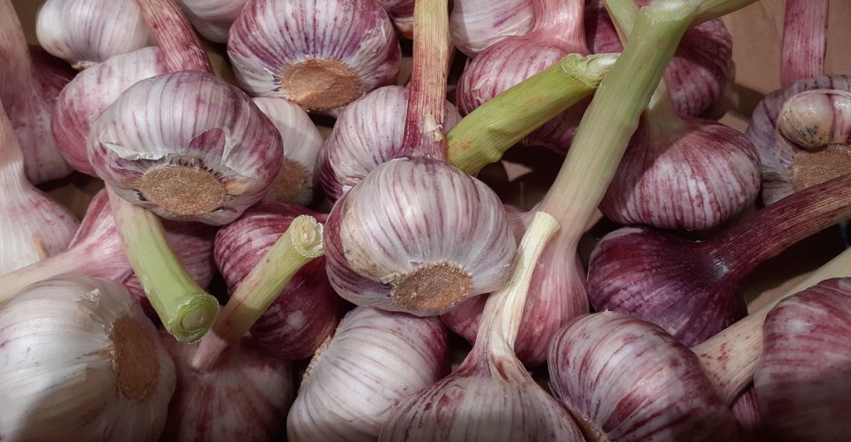 ������ ��� ����� �� ��������, �������� �� ������. ��� �������� ���������� ����� �������� �������