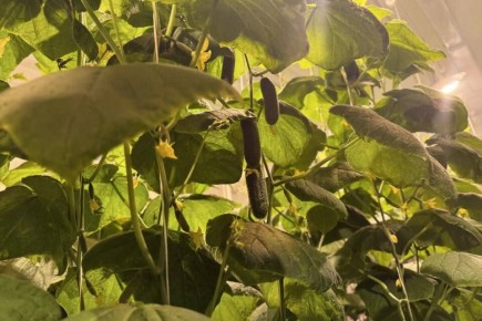 ����� ������ ������ ������ ������� � ����������� �������