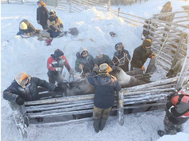 � ������ �������������� 100% ��������� ����� ������