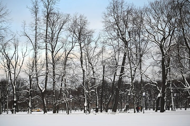 Доброе утро, республика!. Сегодня на юго-западе Якутии осадков не ожидается