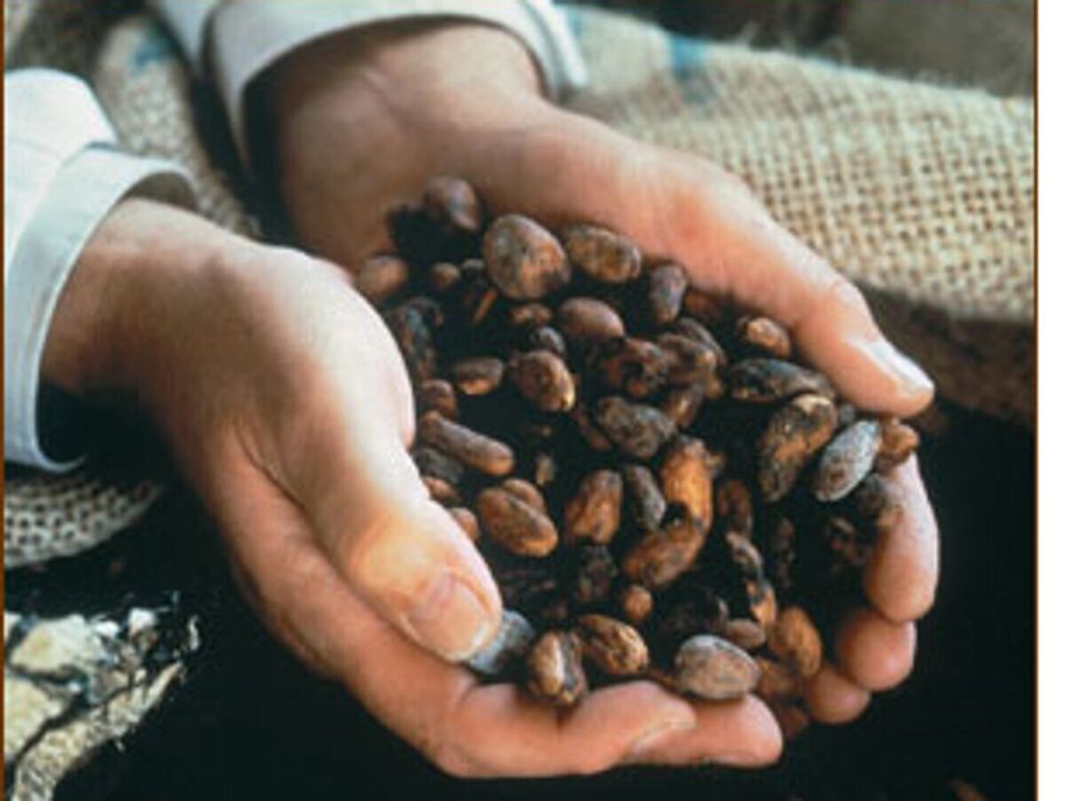 �����-���� ��������� ��������: ���� ������ �� ���� ���������� ���������