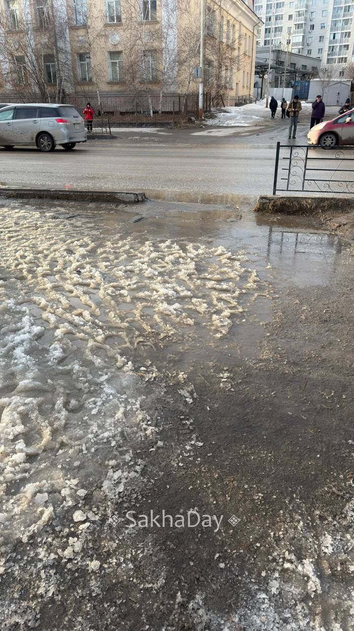 #пишут На светофоре остановки сквер Аммосова каждый год одна и та же картина