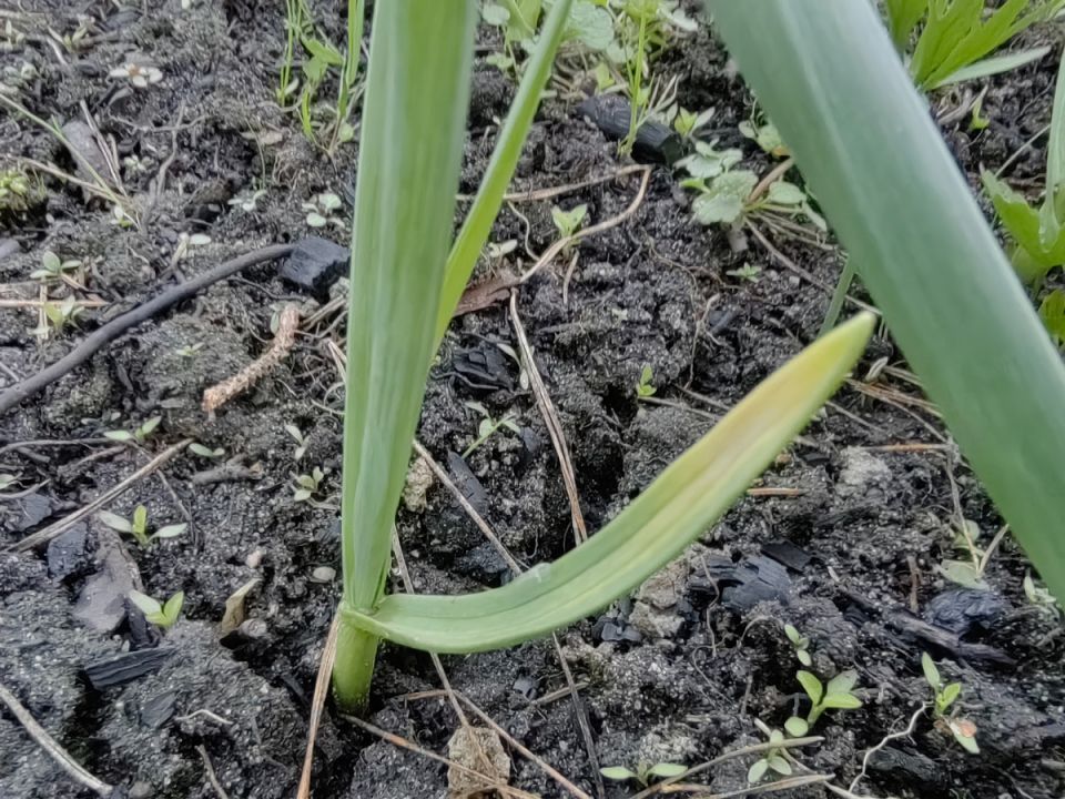 ��� ��������� ���������� ������ ����� ������� ����