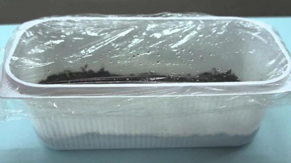 ��� ��������� ����� ��������: ����������� ������� � ������� ������