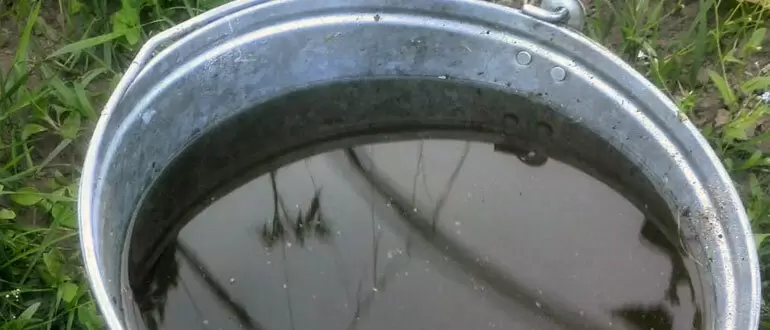 Как крапива помогает выращивать здоровые овощи и ягоды без лишних затрат