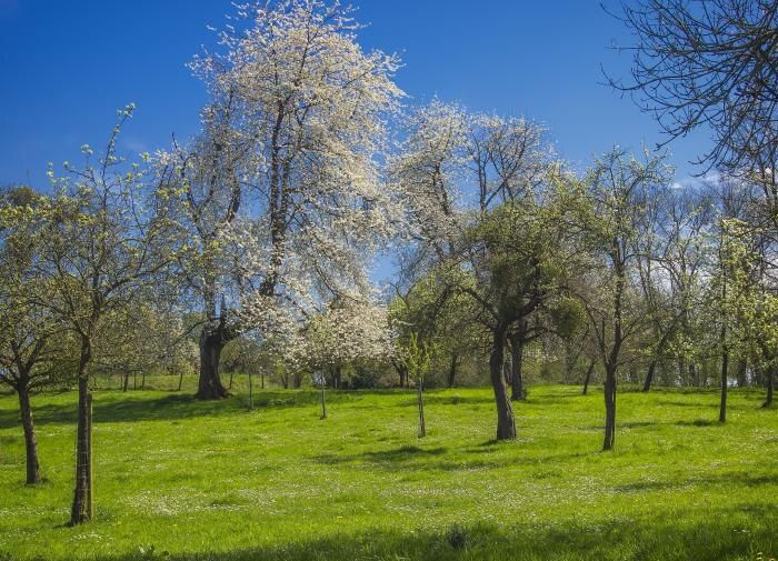 ��� ������� ��������� ��������� ������� ��� ������ ����