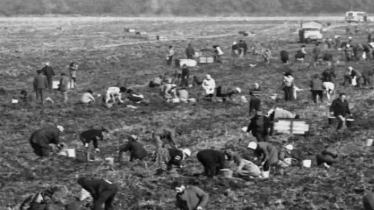 Воспоминания о прошлом: ностальгические моменты, которые мы забывать не будем