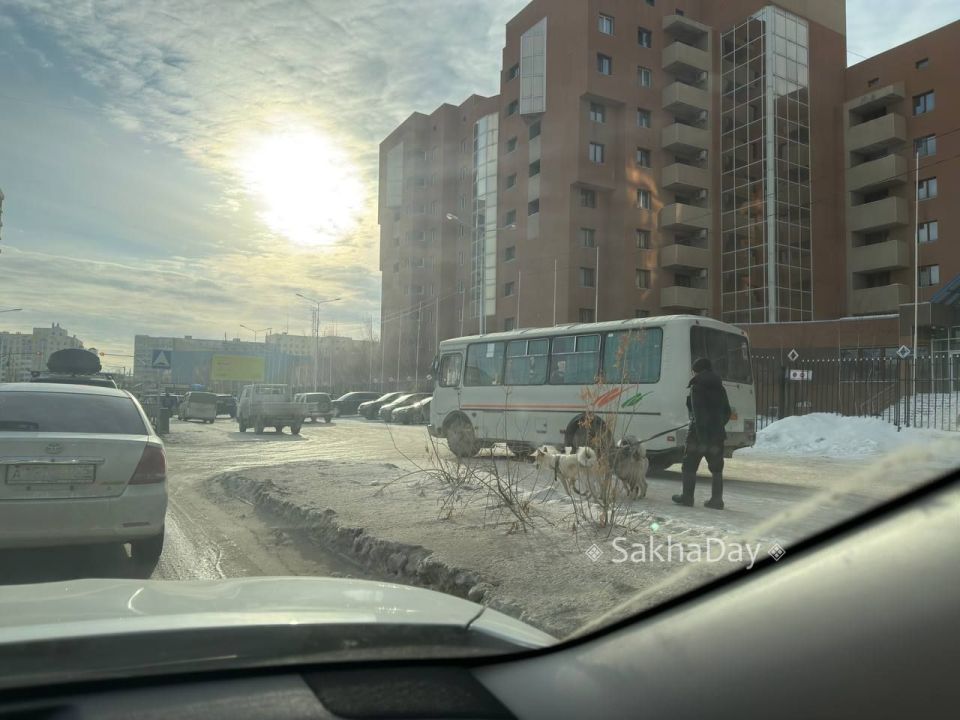 ����� 31 ����� �� �������������� ������ ������ � ��� 3 ��� ��� �� ��������� �� ��������, ���� ���������� ��������, ��� ������� ��� ������� ������