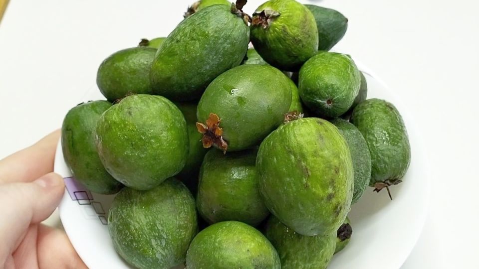 ������� ������: ��� ����������� ������� ������ � ������� ��� �����