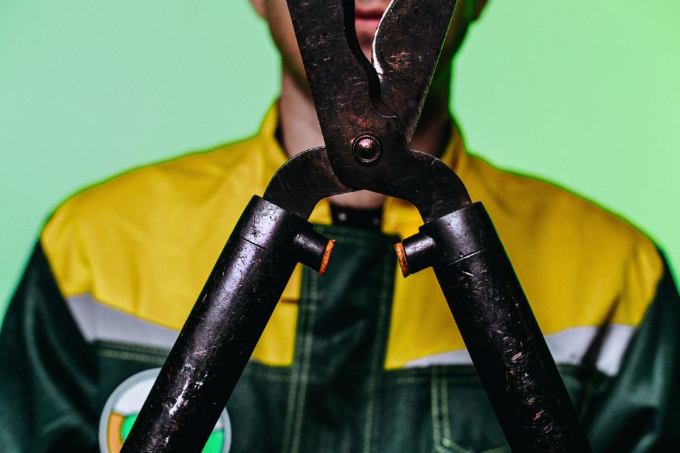 ����������� ���� �� �����: ������ ������� � ������