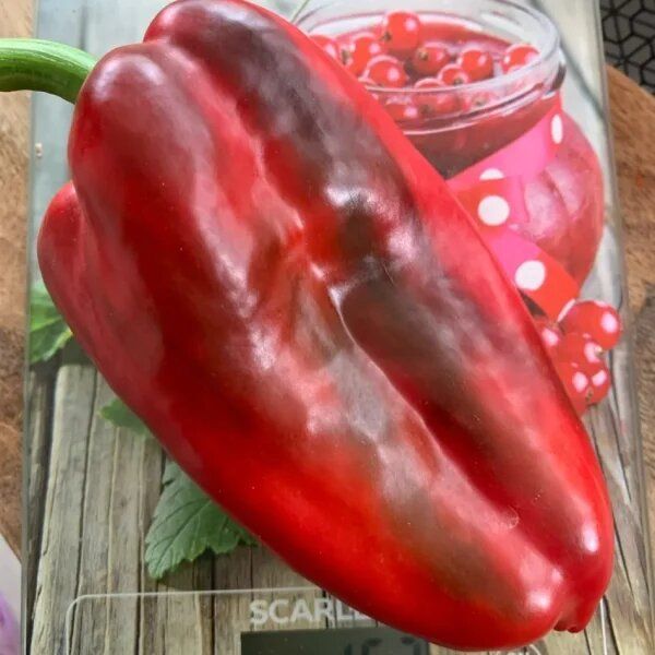 ����� ���: ������� ������� �����, ������� ������� ���� ������