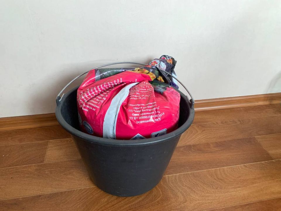 ��� ������ ������������� �������� ����� �� �����