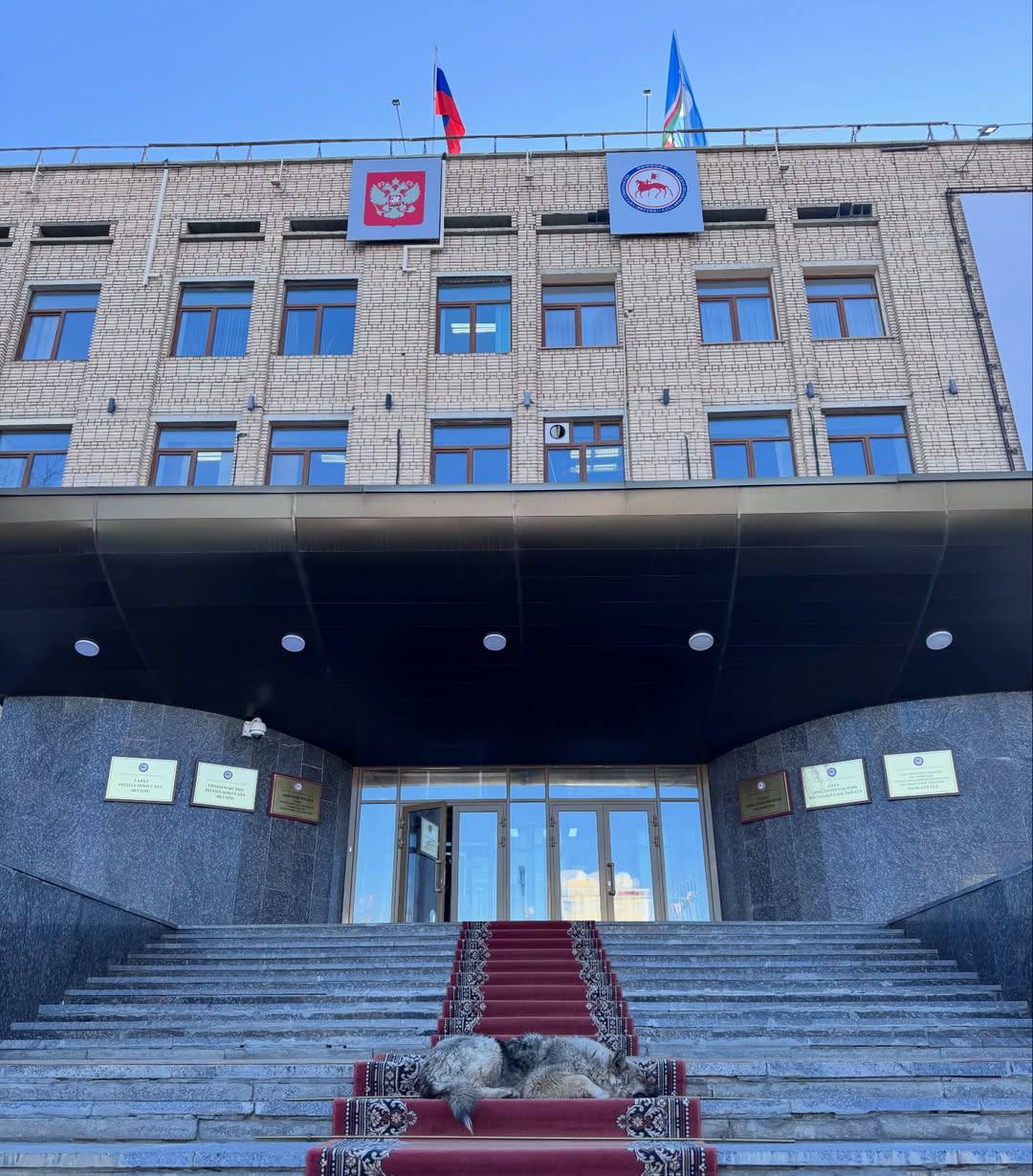 Придумайте название. Фото etin_eter (запрещенограм) Придумайте название. Фото etin_eter (запрещенограм)