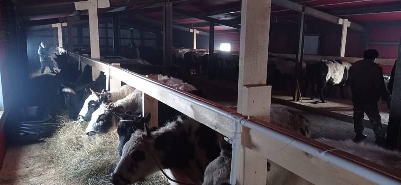 ����������: ��� � ������ �������� ������� �����