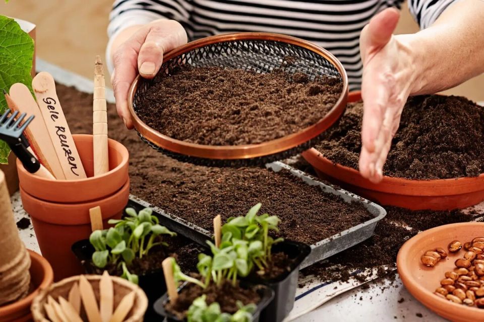 ���� ���������������� ������ ��� ��������� ��������