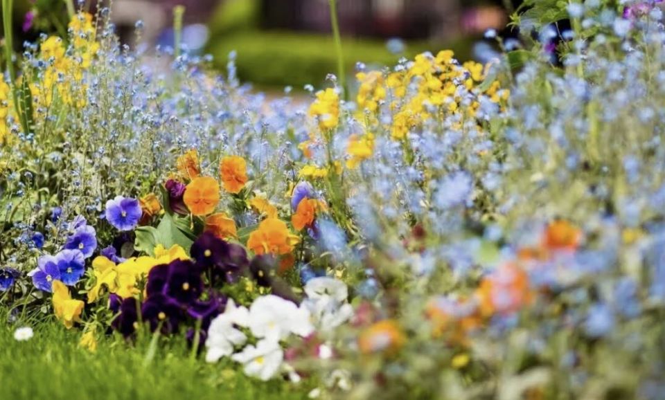 ��� ������� ������ �����: ����� ��� �������� � ��� �� �����