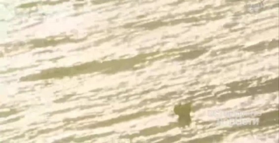 ������ ����� ����������� �� ����� ����������� NASA � ��� ������� �� ����� ��� 50 ��� ��������� ���� � ����