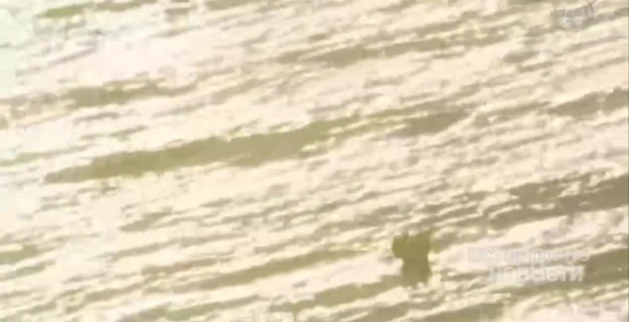 Первые кадры вернувшихся на Землю астронавтов NASA — они впервые за более чем 50 лет совершили полёт к Луне