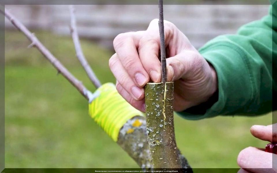 �������� �������� ��������: ������ �� ������� ������� ���������