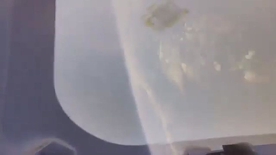 ����������: ����� �� �������