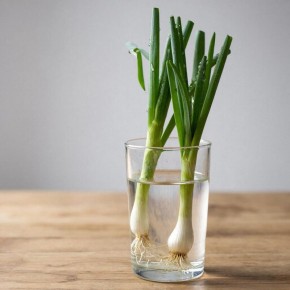 ����� ���� ������� ��� ������������ ����������� ���� �� �����������?