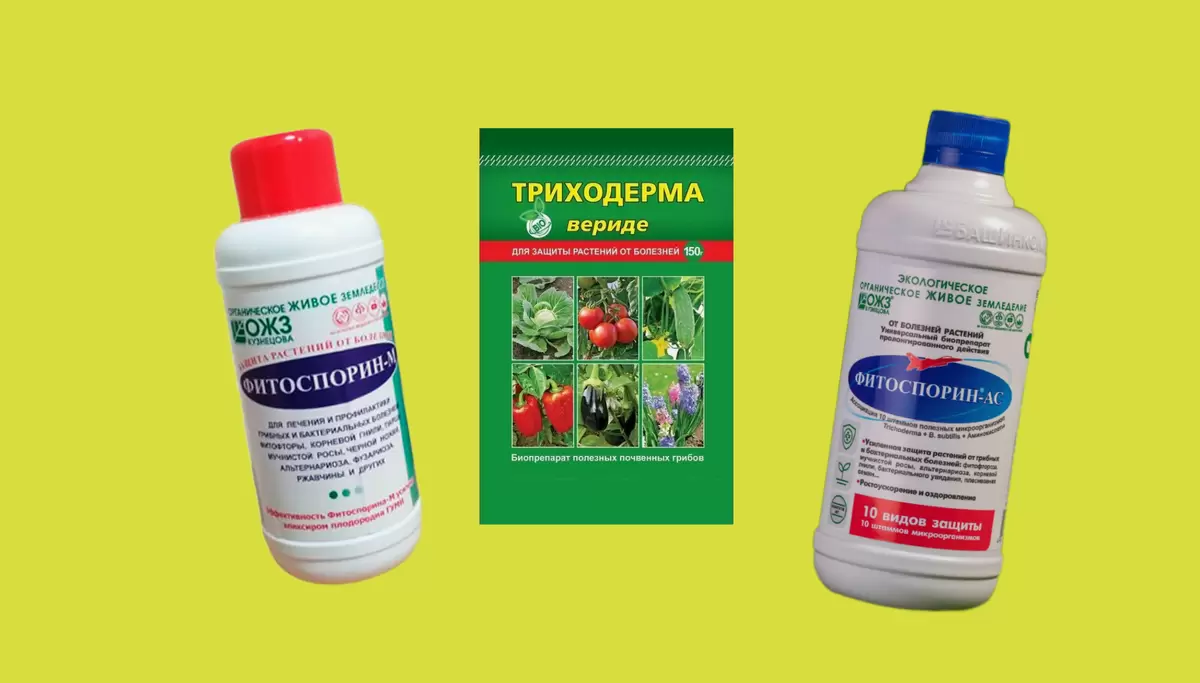 Разбираемся в Фитоспоринах: какой выбрать для вашего сада?