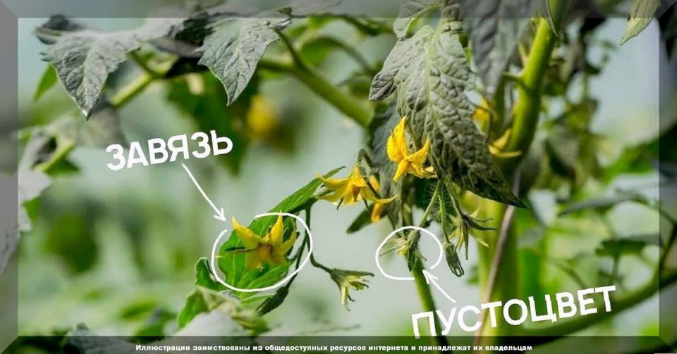 ������ � ������� � �������: ��� ��������������� ������ � ������������� �������