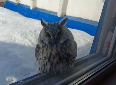 ������������ �����. ���� ������ ����������������� ���������� � ����� ���������� �������� � ������� ������� ������������������� ����� ����� �.�. ���������