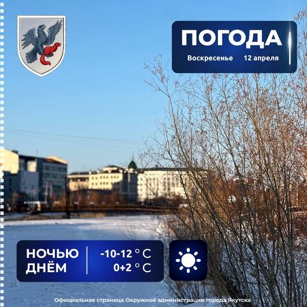 ������� ������ � ������� �� 12 ������