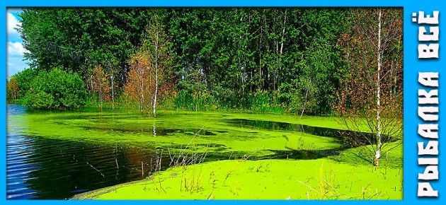 ��� ���������� �� ������ �������� ����: 8 ����������� �������