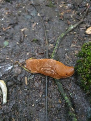 ��������� �������: ��� �������� ���� ������ �� ������������ ���������