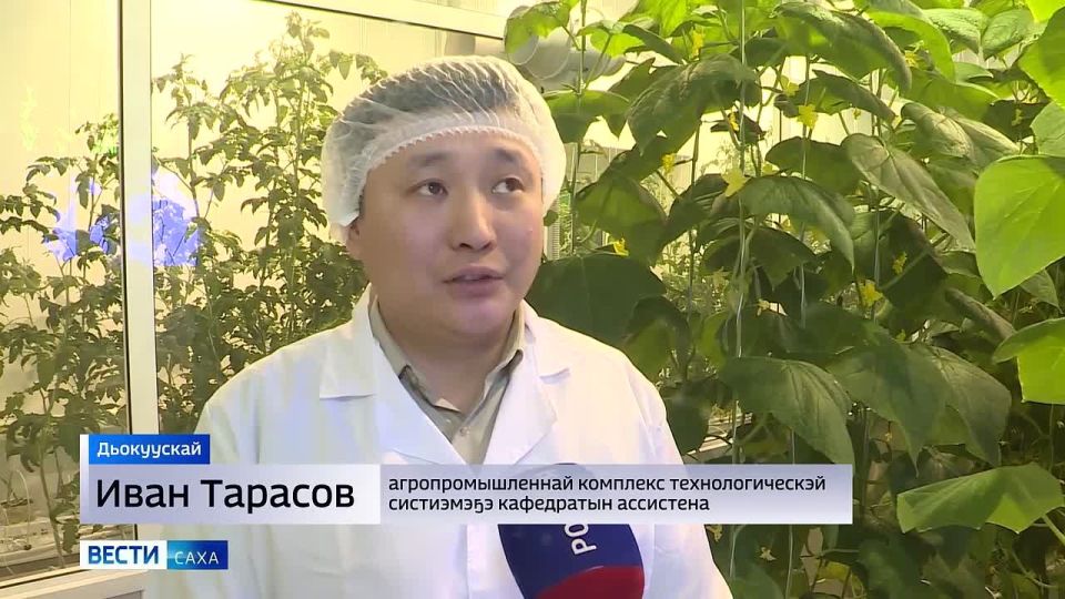 ����������� ������������������� ����������� ��� ����������� ������������� ������� �� ����