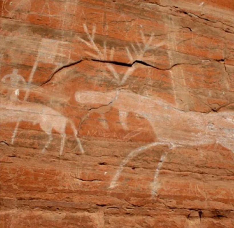 �������� ���������� ������� �� �������� ������