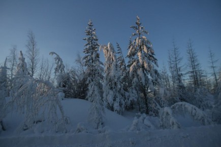 � ������ 14 ������ ��������� ��������������� ����� ������