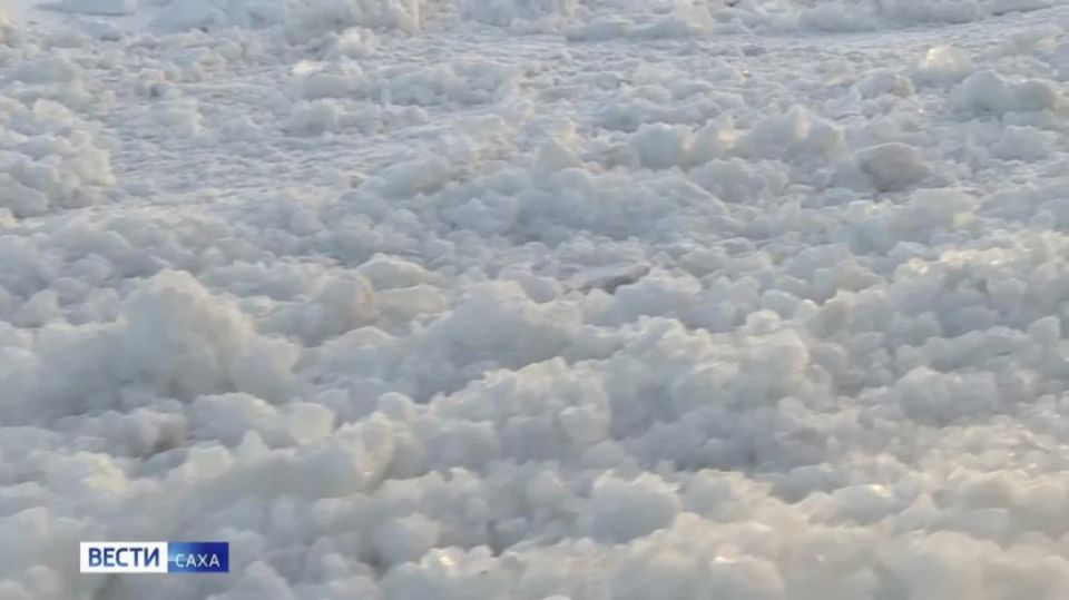 �� ����� ��������������� ������� �� ������� ������� � ����������� ������������ ����������� ����������� �������� 545 �����������