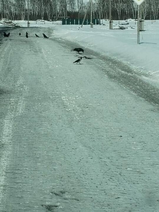 ����� ��� � ���������: ������ ���� ���� �������� �����