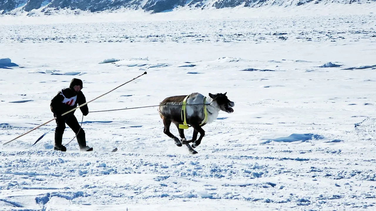 Юбилейный Слет собрал оленеводов наслега Булун