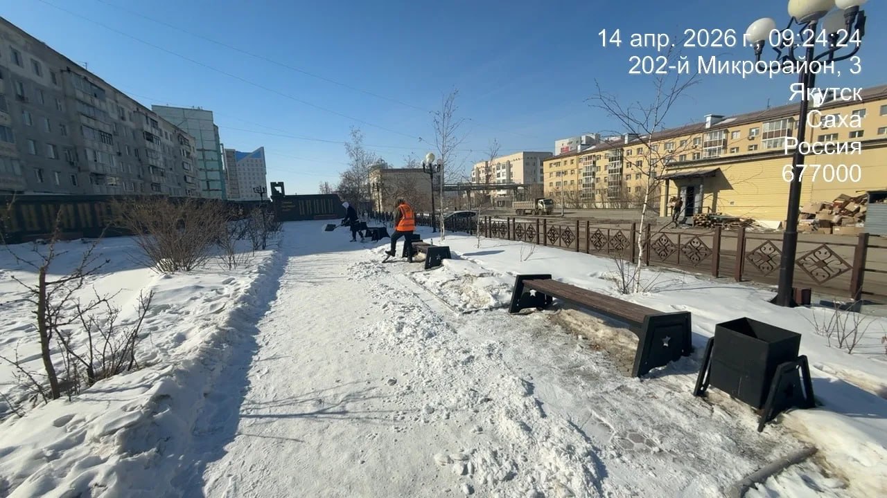 Работы по очистке и погрузке снега